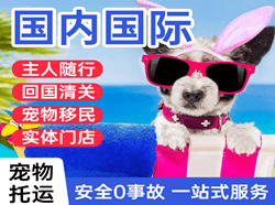 海拉尔机场快运国际宠物托运 【国